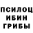 Галлюциногенные грибы Cubensis Arnold P.