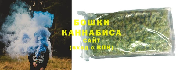 мдпв Краснослободск