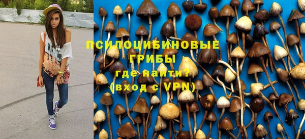 молекула духа Красноперекопск