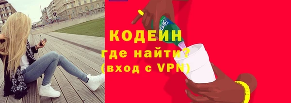 мдпв Краснослободск