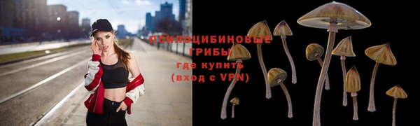мдпв Краснослободск