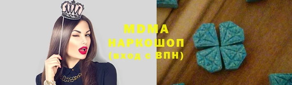 мдпв Краснослободск