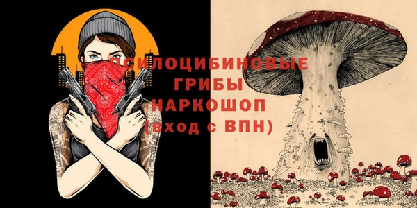 молекула духа Красноперекопск