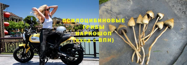 мдпв Краснослободск