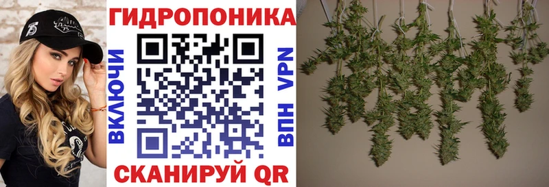 Каннабис планчик  Купить  Байкальск 